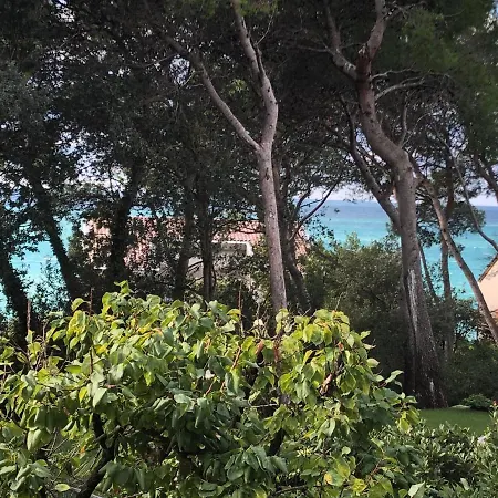 Adriatic Paradise Apartment