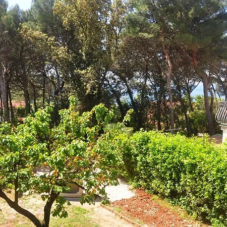 Adriatic Paradise Apartment Rovinj